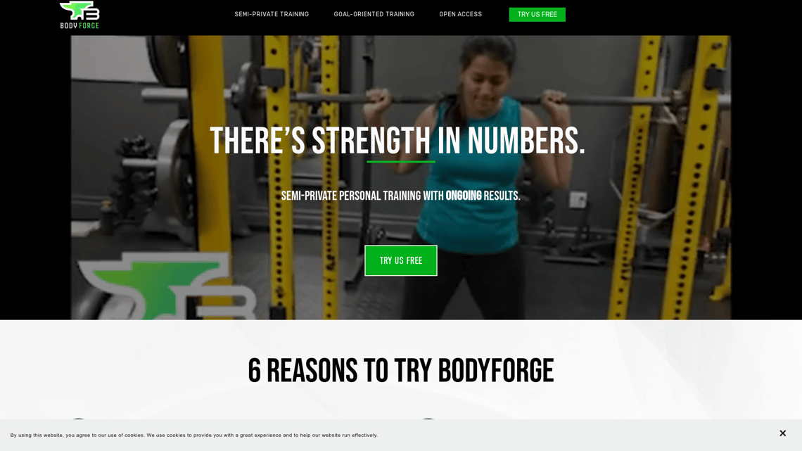 Body Forge Fitness (Personal Training)