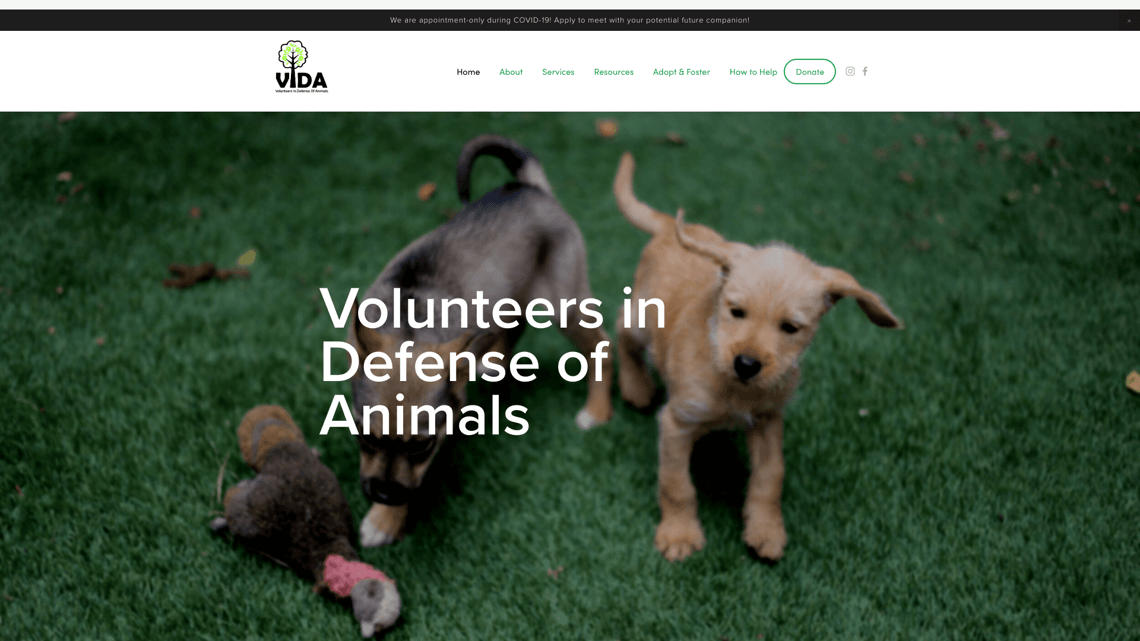 Volunteers in Defense of Animals