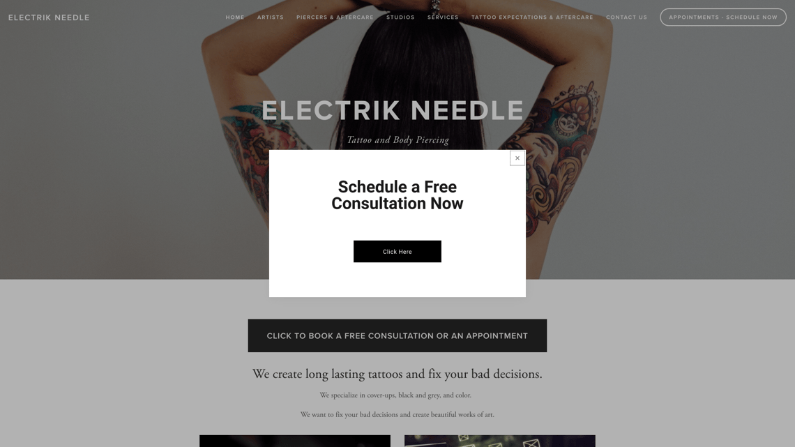 ElectriK Needle