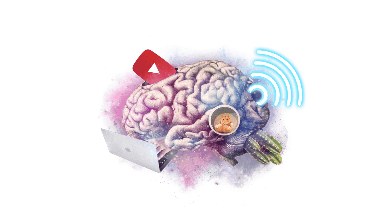 Brain with YouTube logo, cactus, laptop, and mouse in it.