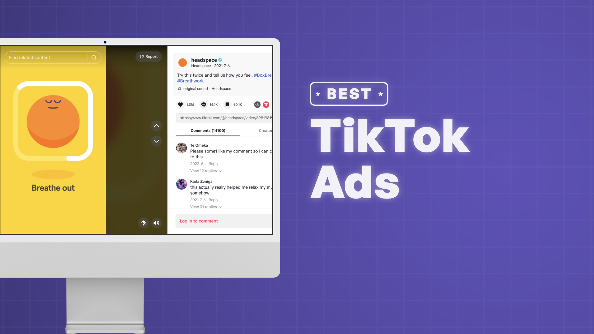 "Best TikTok Ads" with a screenshot of the TikTok ad examples