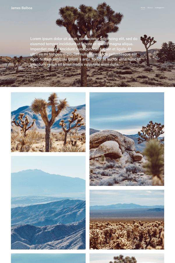 Screenshot of a Squarespace photography template