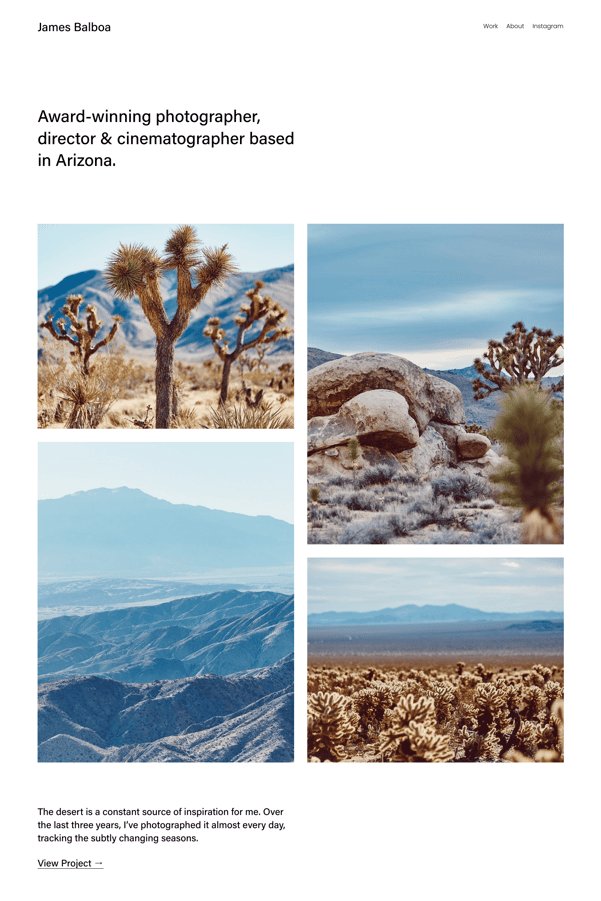 Screenshot of a Squarespace photography template