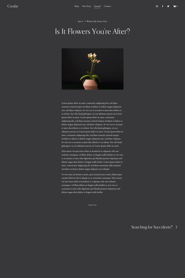 Screenshot of a Squarespace blog template