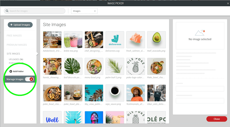 Duda manage images