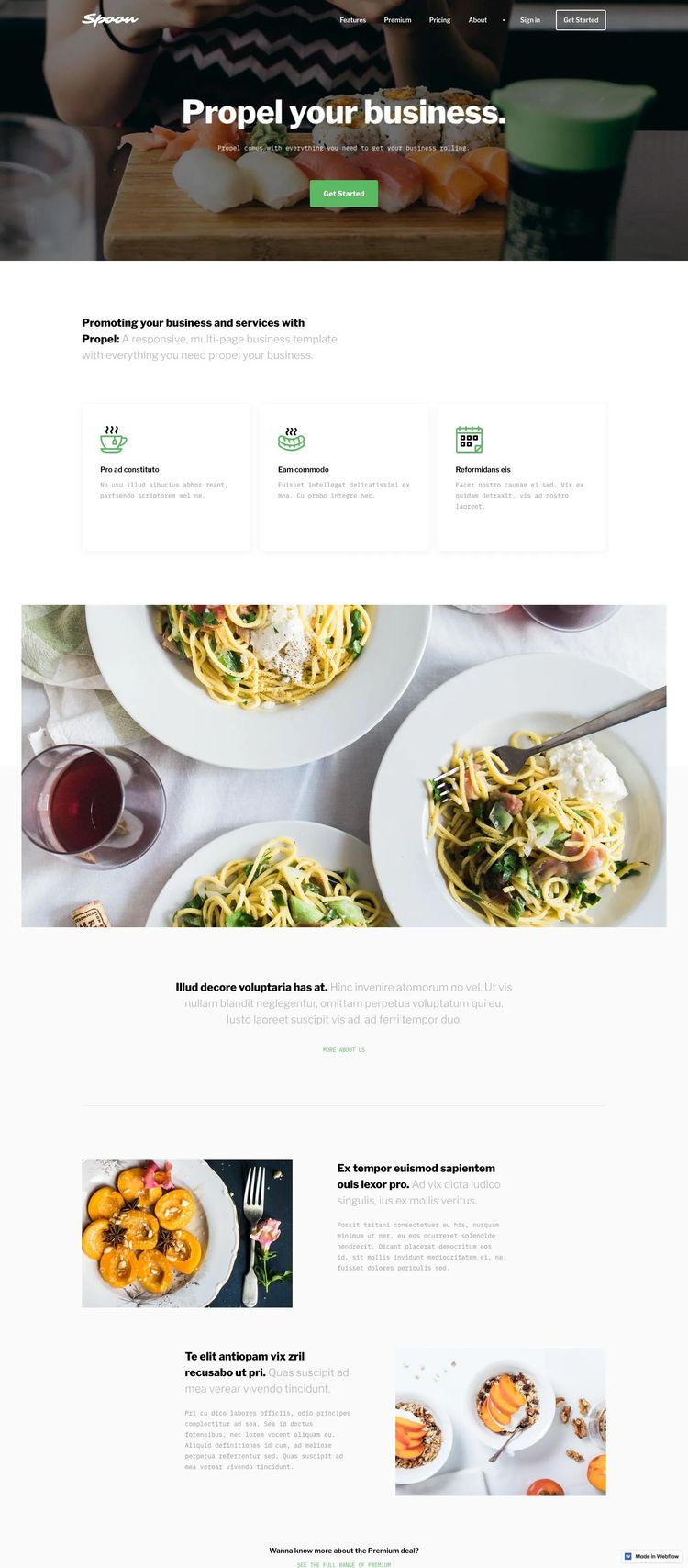 Screenshot 1 of Propel Template