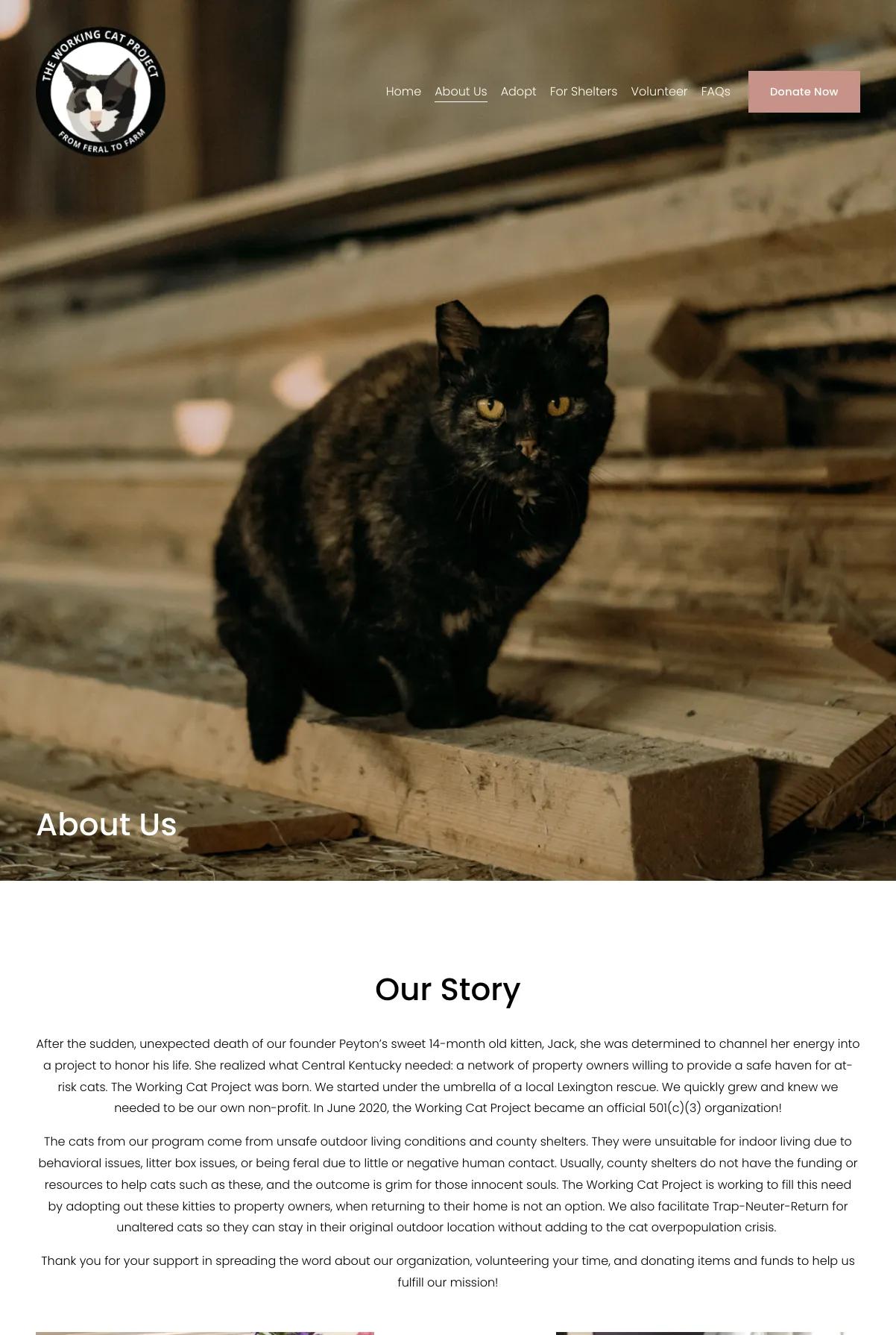 Screenshot 2 of The Working Cat Project (Example Squarespace Nonprofit Website)
