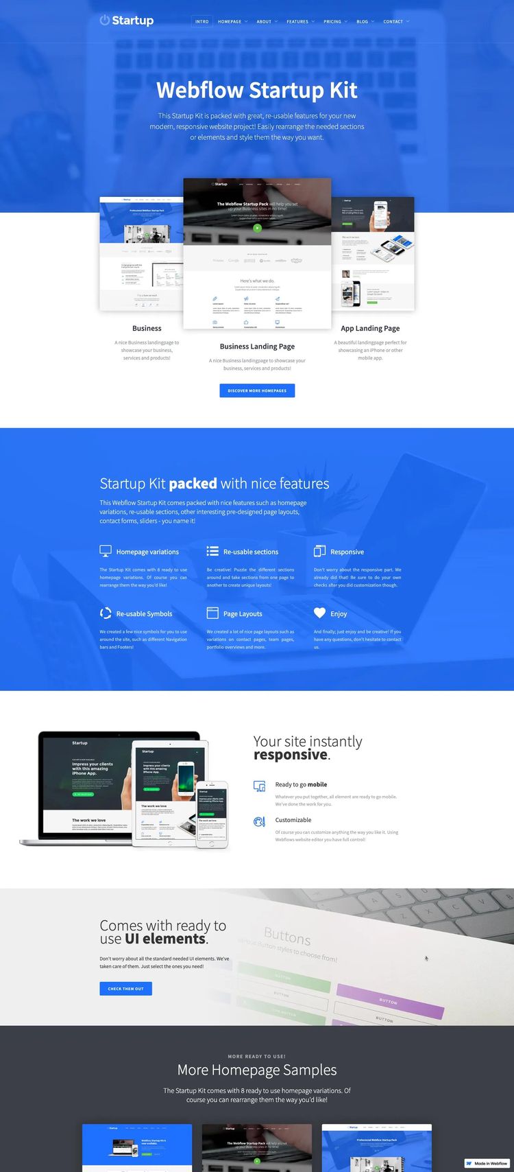Screenshot 1 of Startup Template