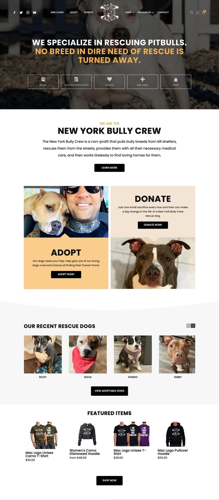 Screenshot 2 of New York Bully Crew (Example Squarespace Nonprofit Organization Website)