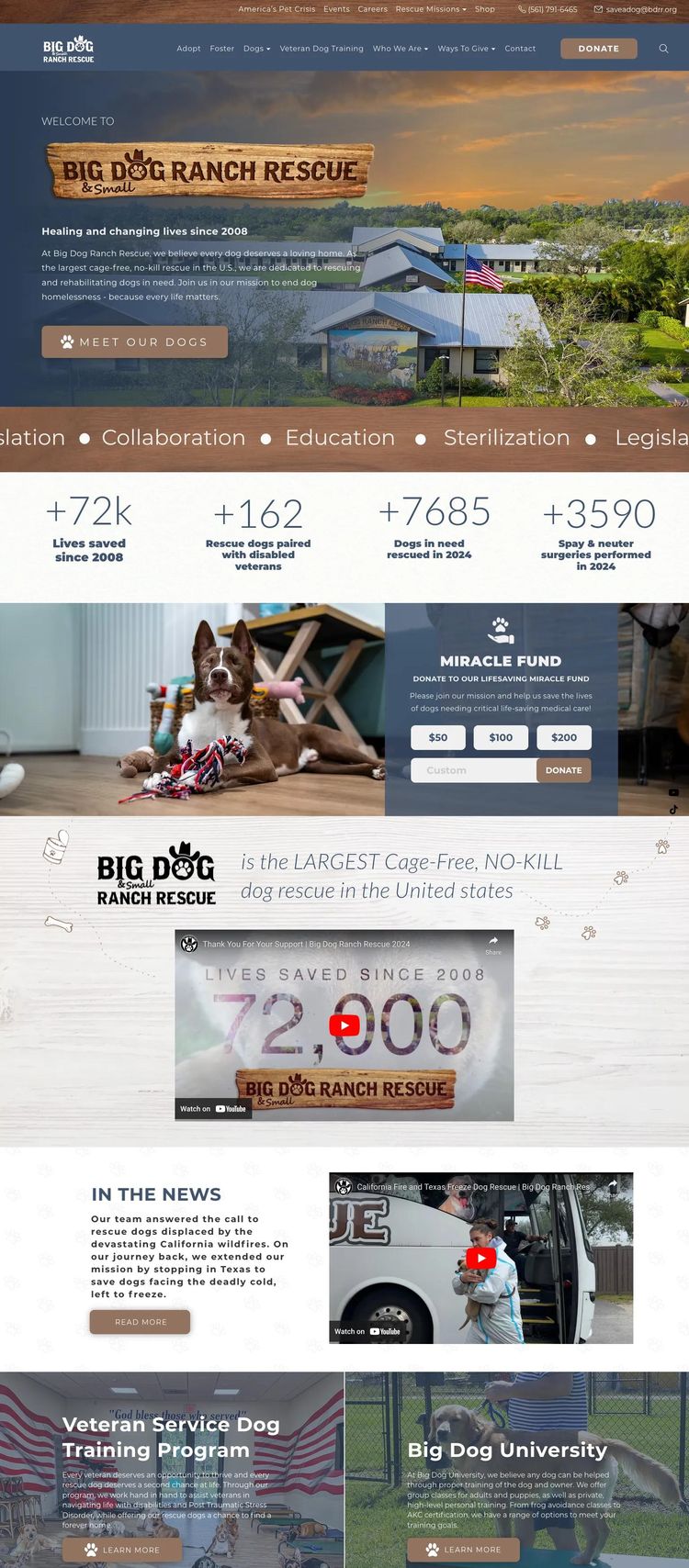 Screenshot 2 of Big Dog Ranch Rescue (Example Squarespace Nonprofit Organization Website)