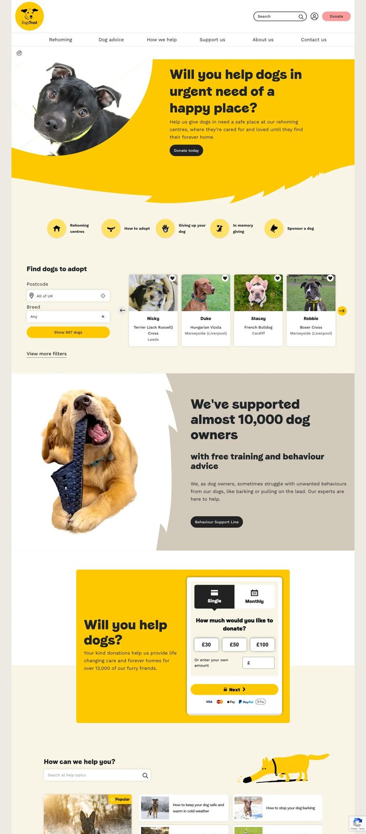 Screenshot 1 of Dogs Trust (Example Squarespace Nonprofit Organization Website)