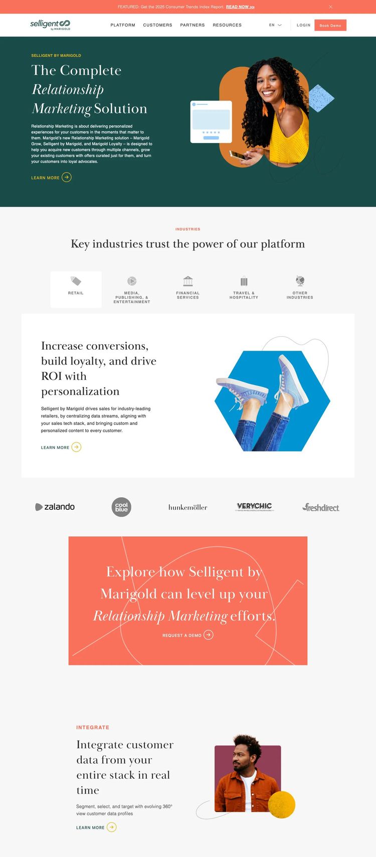 Screenshot 2 of Selligent (Example WordPress Marketing Agency Website)