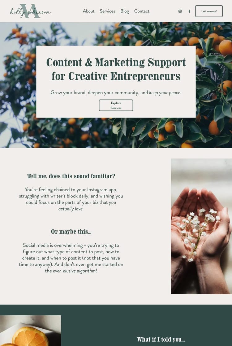 Screenshot 1 of Holly Roberson (Example Squarespace Virtual Assistant Website)