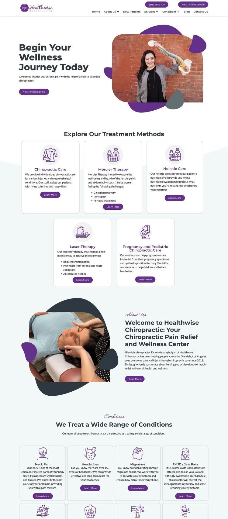 Screenshot 2 of Health Wise Chiropractic (Example WordPress Chiropractor Website)