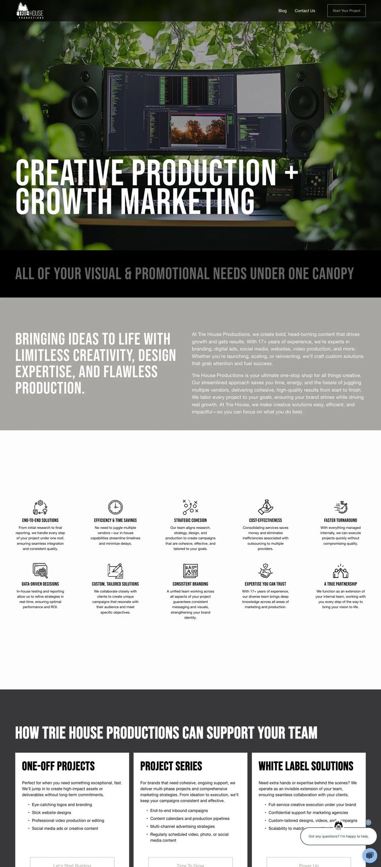 Screenshot 2 of Trie House Productions (Example Squarespace Marketing Agency Website)