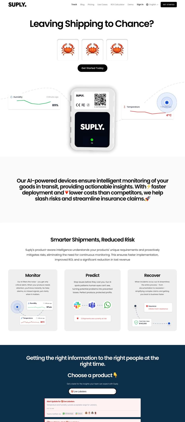 Screenshot 2 of Suply (Example Squarespace AI and Machine Learning Website)