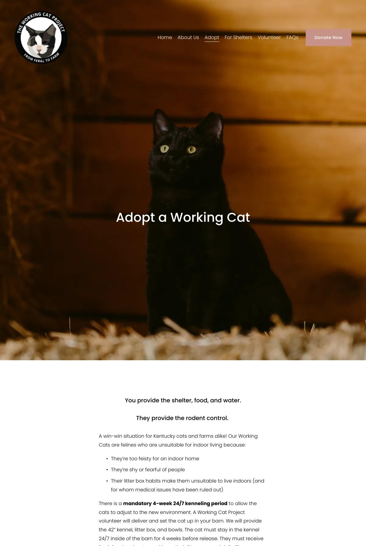 Screenshot 3 of The Working Cat Project (Example Squarespace Nonprofit Website)