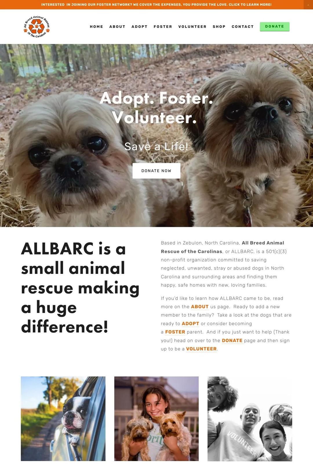 Screenshot 1 of All Breed Animal Rescue of the Carolinas (Example Squarespace Nonprofit Website)