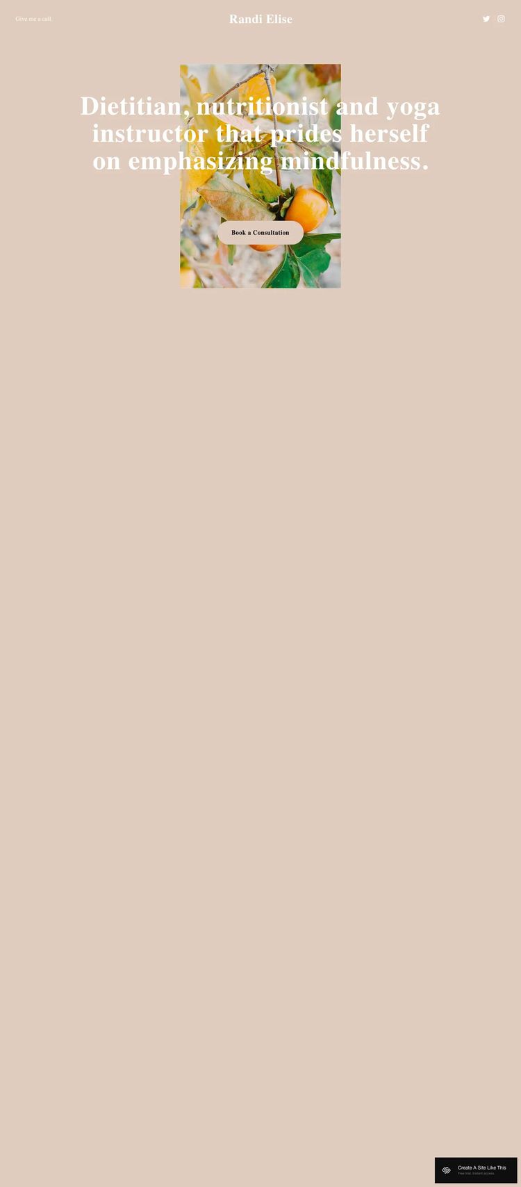Screenshot 1 of Randi Template