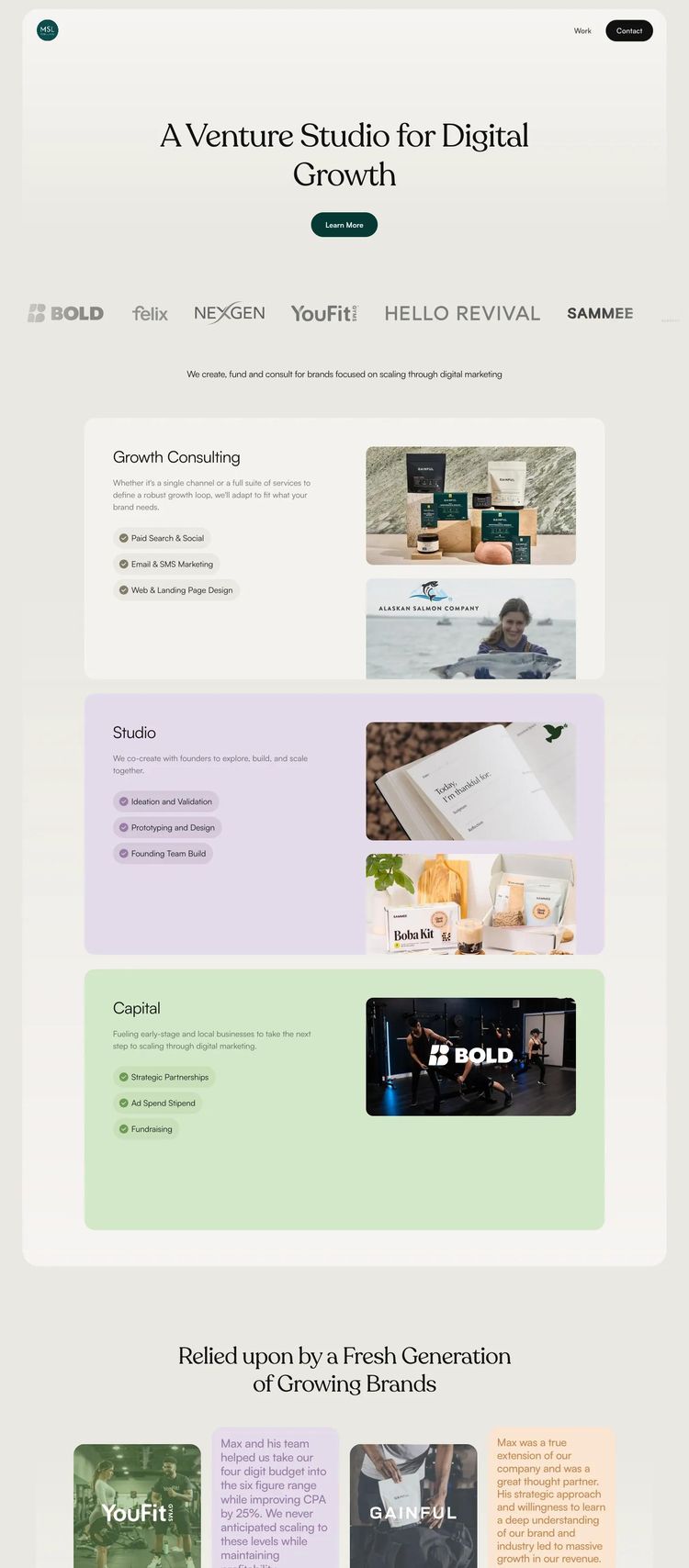 Screenshot 2 of MSL Ventures (Example Framer Business Consultant Website)