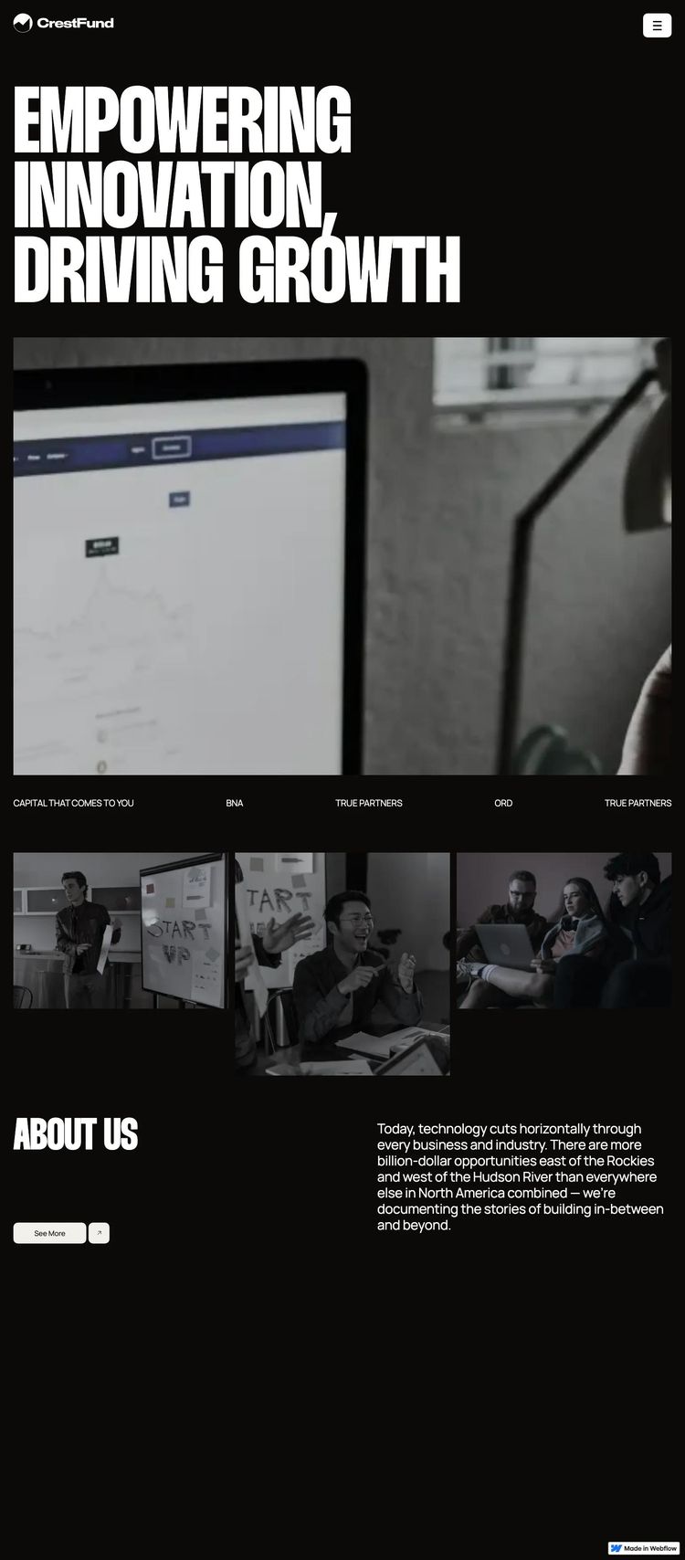Screenshot 1 of CrestFund Template