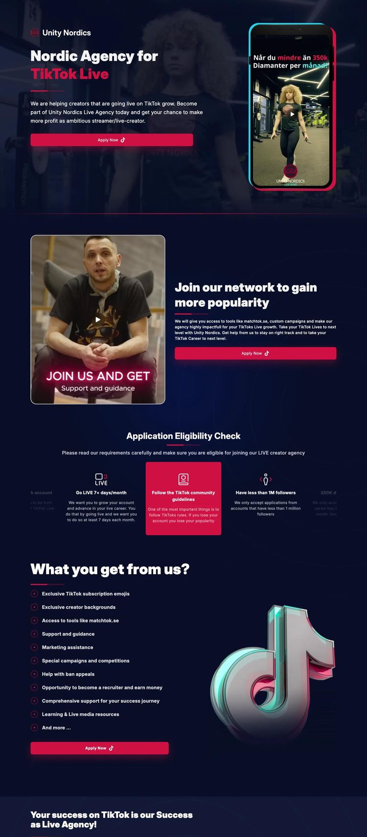 Screenshot 2 of Unity Nordics (Example WordPress TikTok Agency Website)