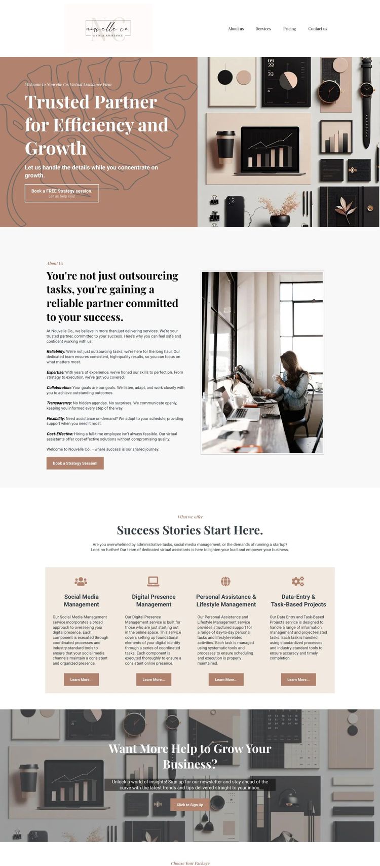 Screenshot 1 of Nouvelle Co. (Example undefined Virtual Assistant Website)