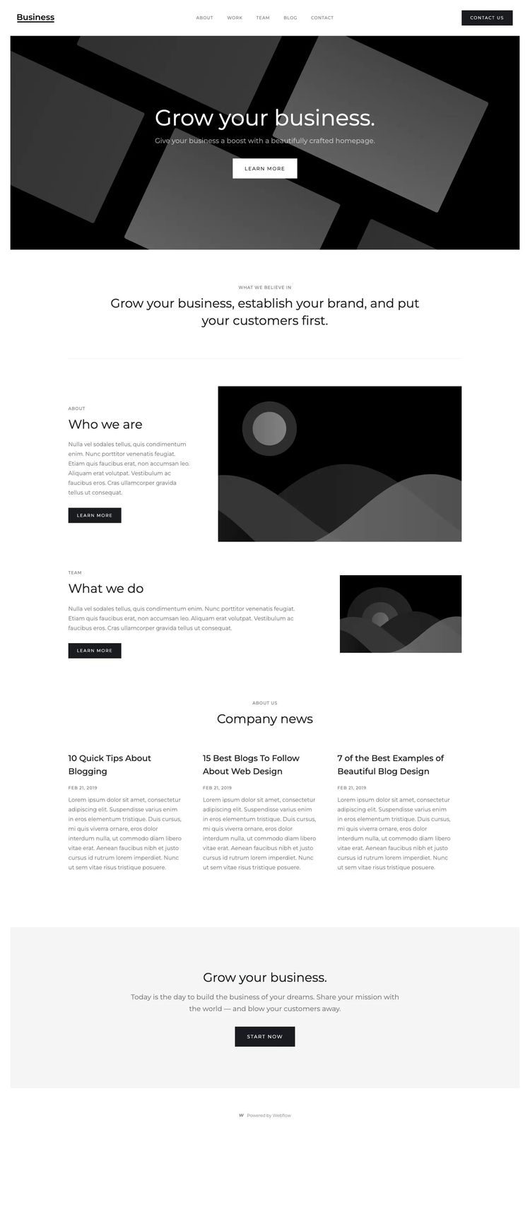 Screenshot 1 of Business Starter Template