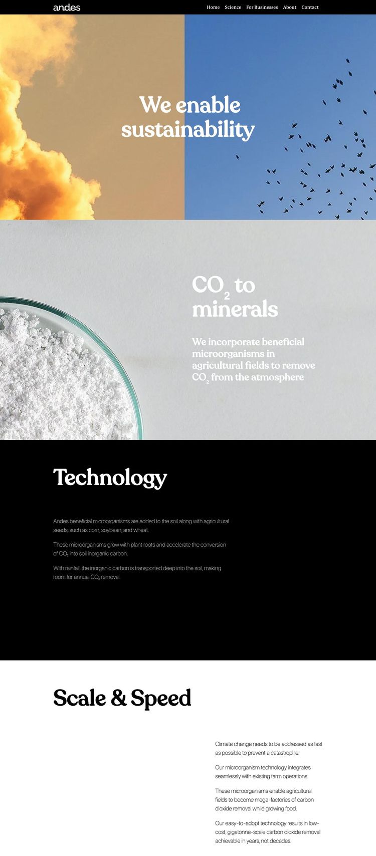 Screenshot 2 of Andes (Example Squarespace AI and Machine Learning Website)