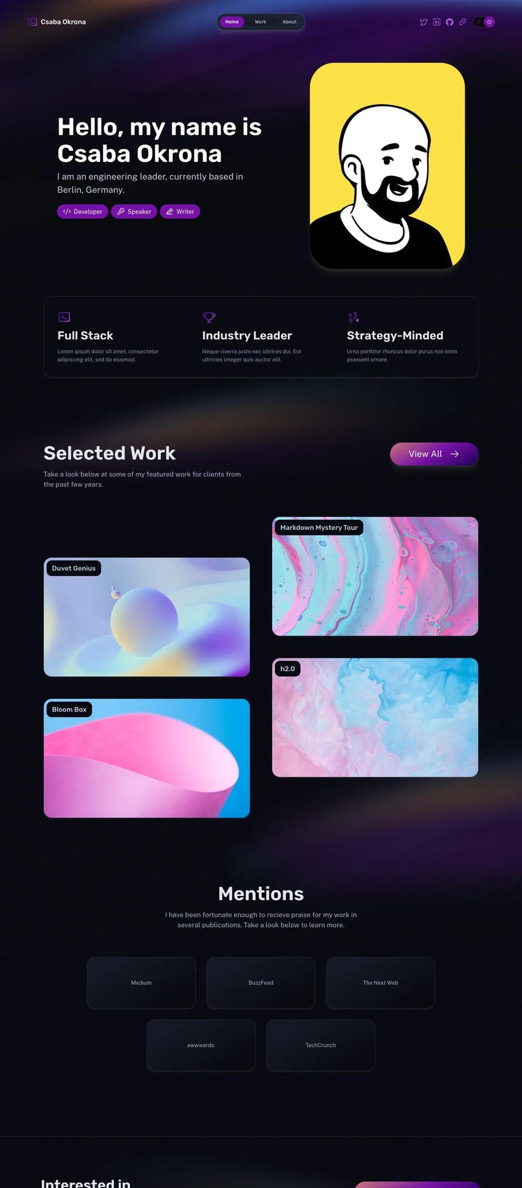 Screenshot 2 of Csaba Okrona (Example Astro Software Development Website)