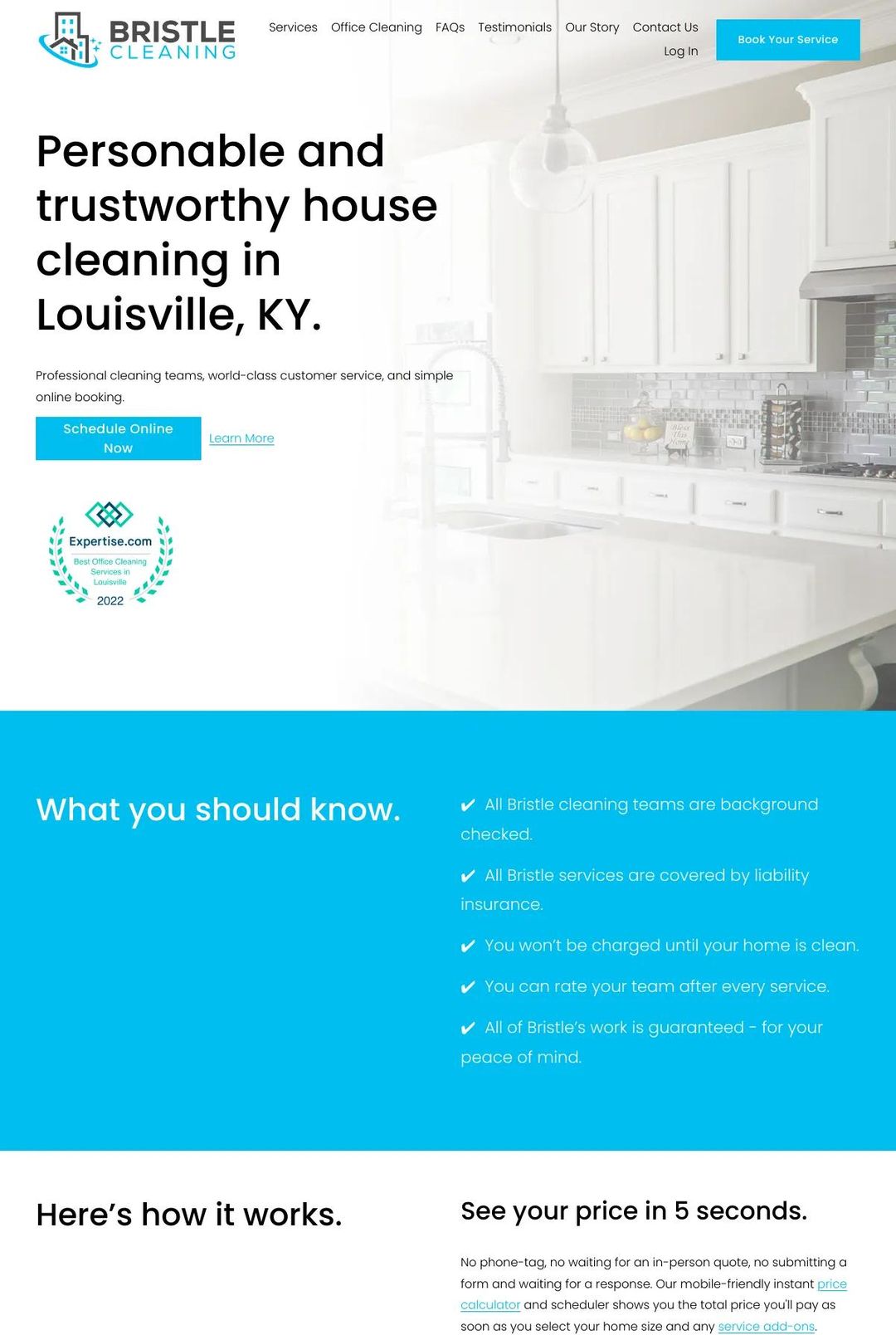 Screenshot 1 of Bristle Cleaning (Example Squarespace Cleaning Services Website)