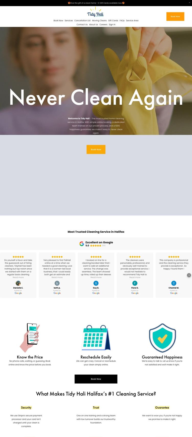 Screenshot 1 of Tidy Hali (Example Squarespace Cleaning Services Website)