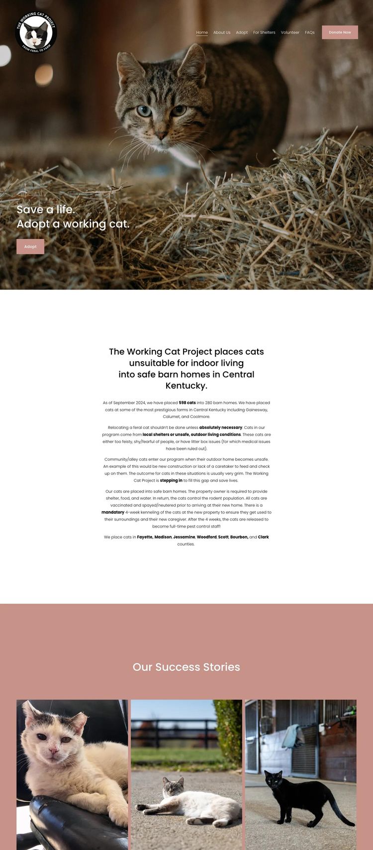 Screenshot 1 of The Working Cat Project (Example Squarespace Nonprofit Organization Website)