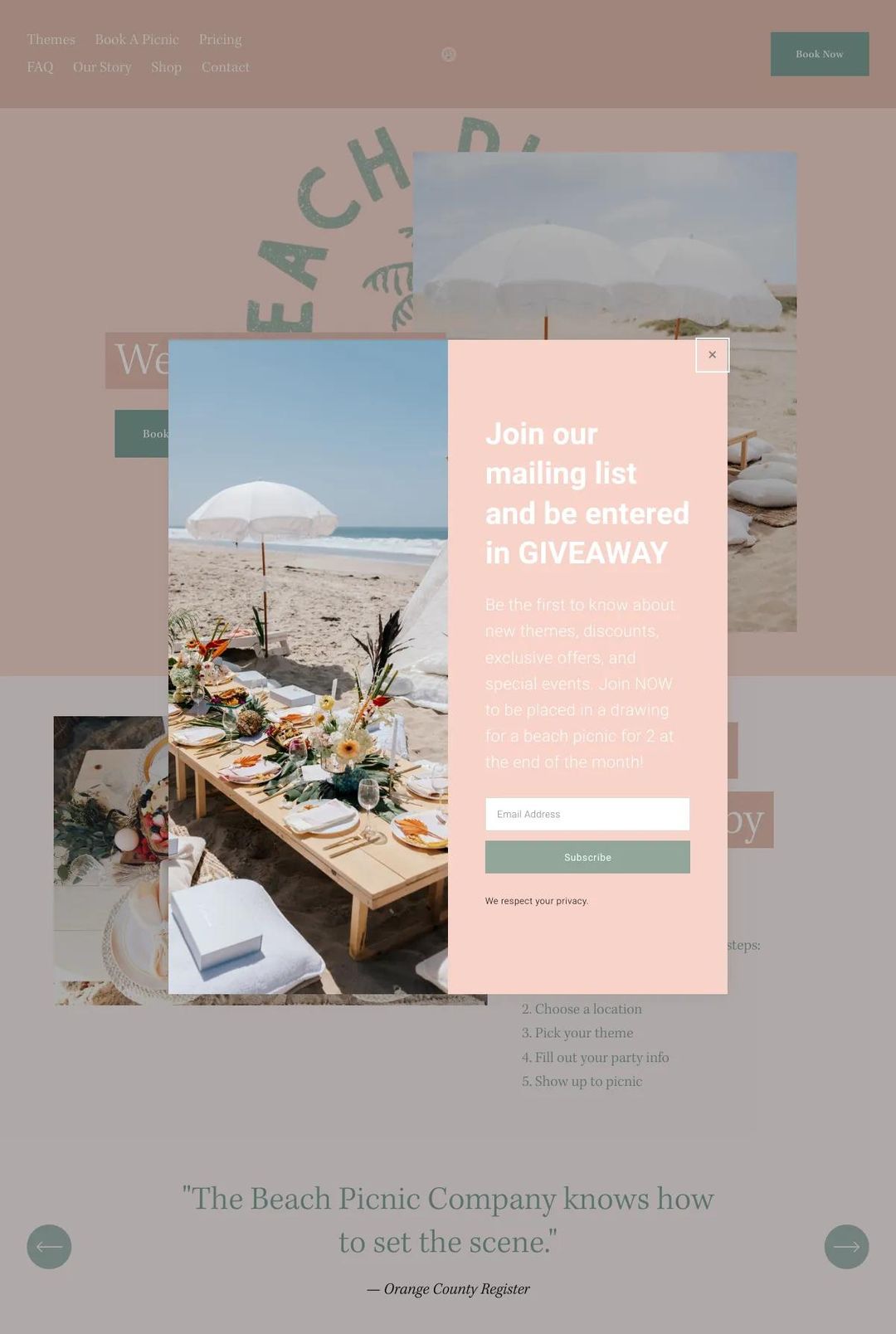 Screenshot 1 of The Beach Picnic Company (Example Squarespace Ecommerce Website)