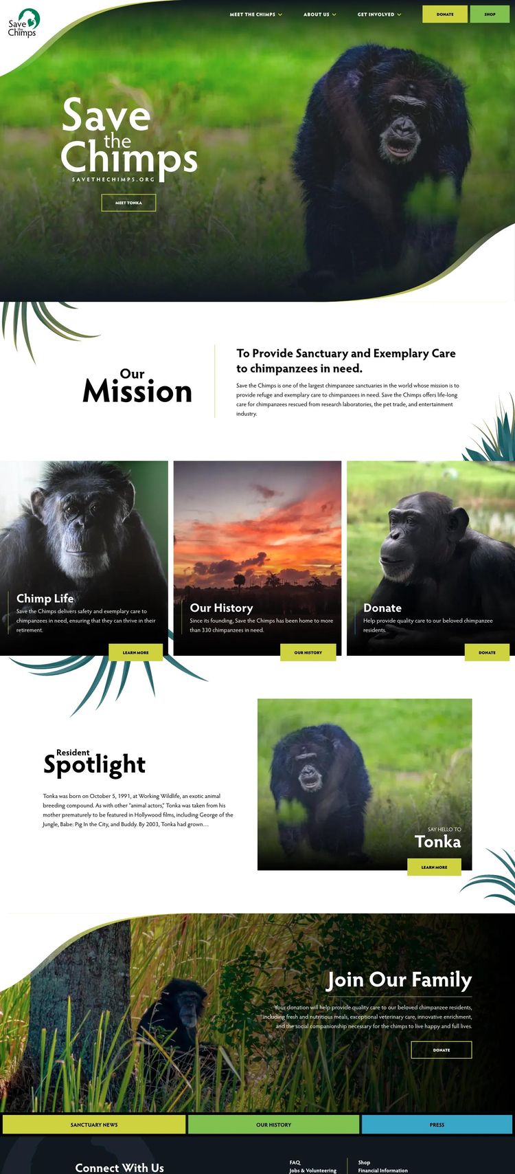 Screenshot 2 of Save the Chimps (Example WordPress Nonprofit Organization Website)