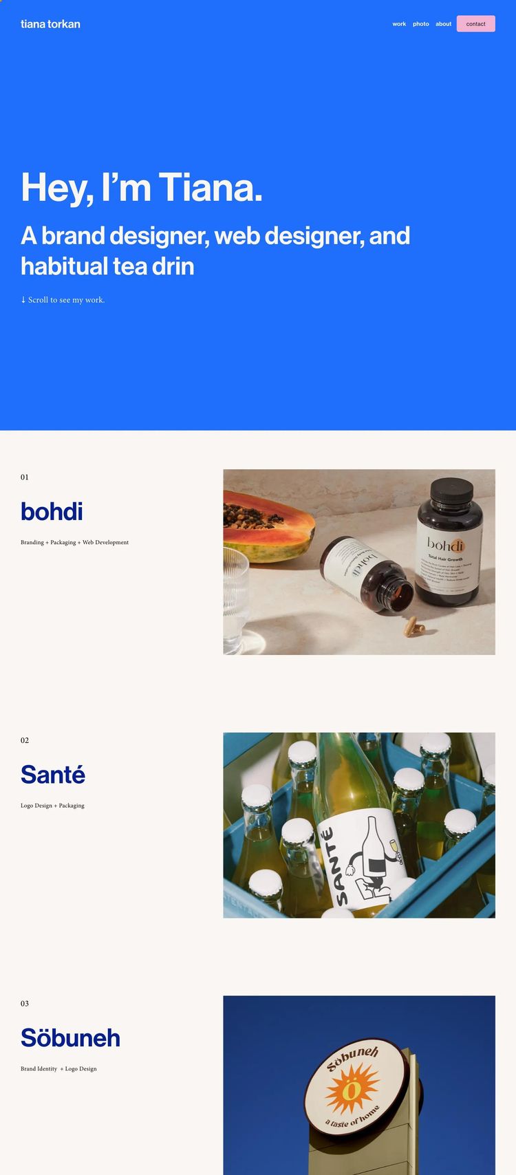 Screenshot 1 of Tiana Torkan (Example Squarespace Resume Website)