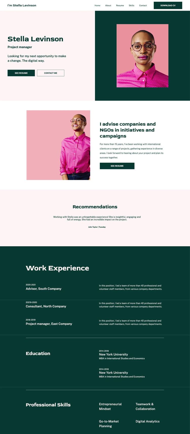 Screenshot 1 of Professional Cv Template