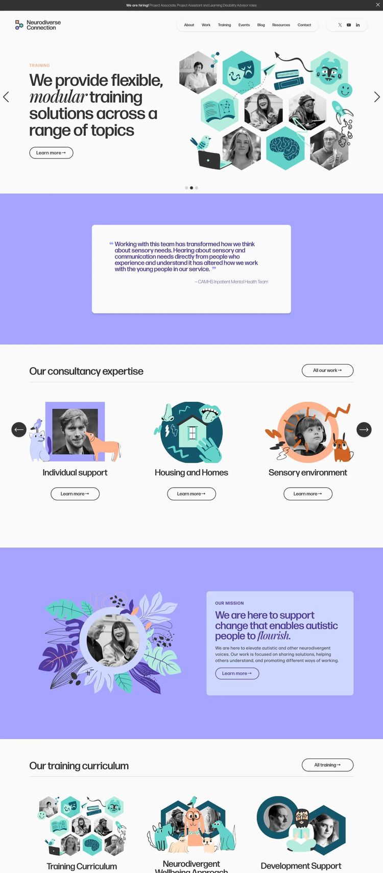 Screenshot 2 of NdC (Example Squarespace Nonprofit Organization Website)