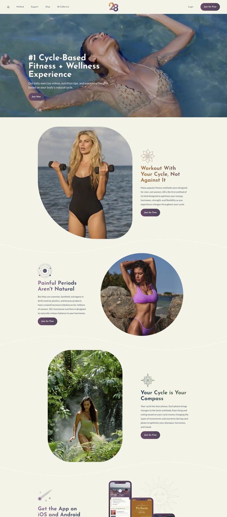 Screenshot 2 of 28 Wellness (Example Next.js Mobile App Website)