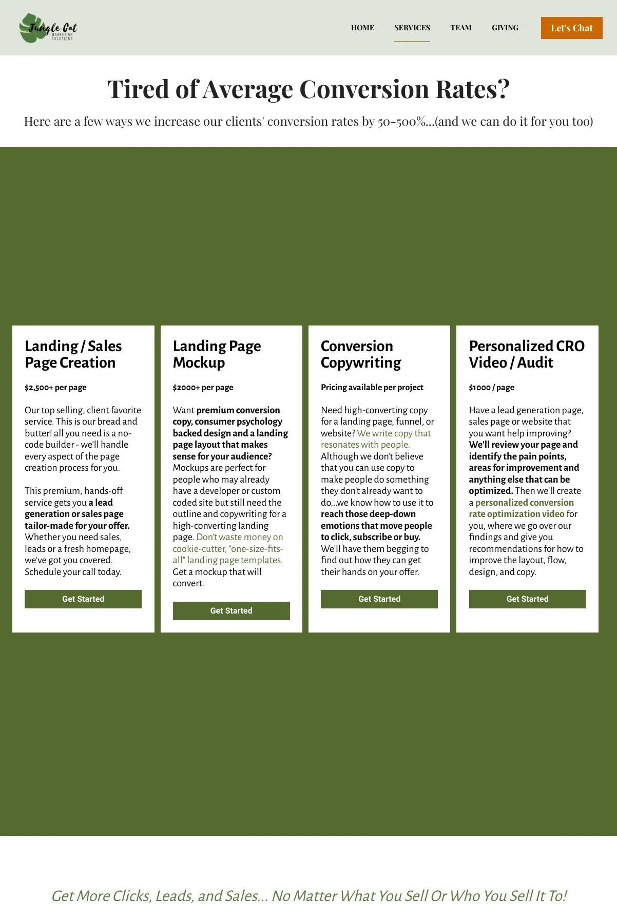 Screenshot 2 of Jungle Cat Marketing (Example Leadpages Website)