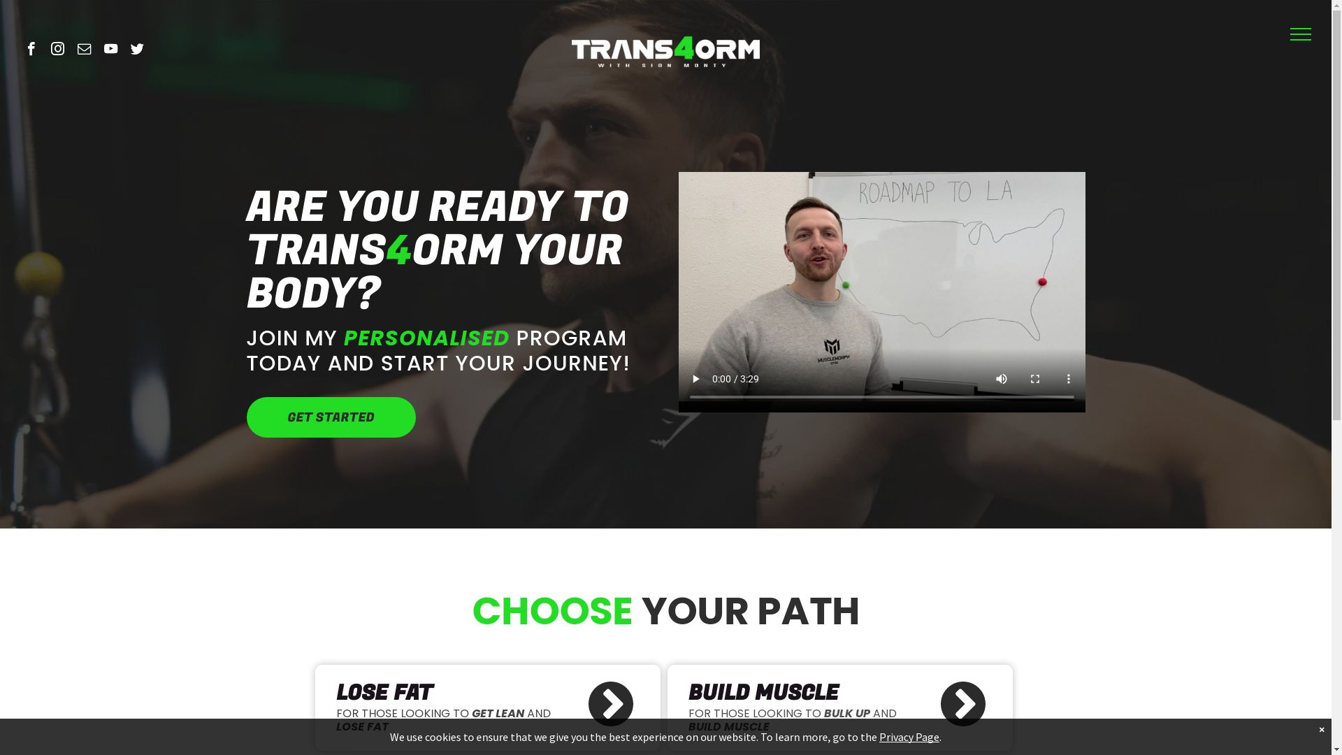 Screenshot of the TRANS4ORM website