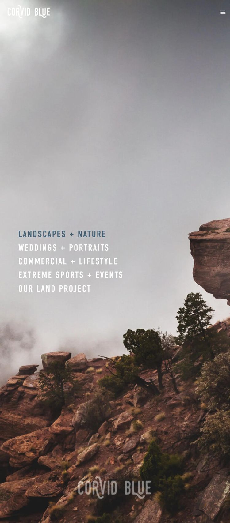 Screenshot 1 of Corvid Blue Studio (Example Squarespace Photography Website)