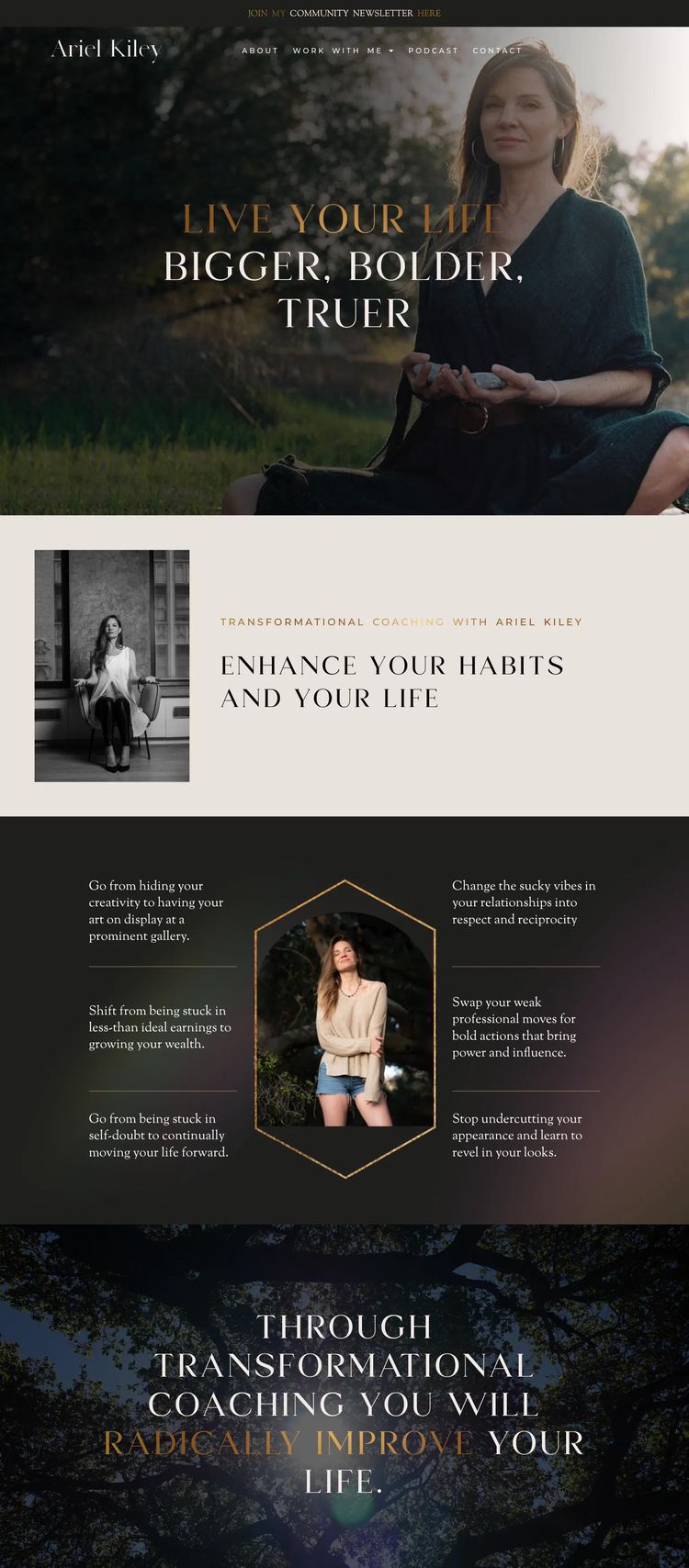 Screenshot 2 of Ariel Kiley (Example WordPress Life/Business Coach Website)