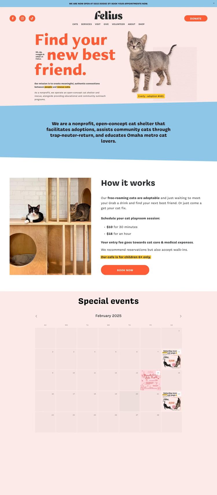 Screenshot 2 of Felius (Example Squarespace Nonprofit Organization Website)