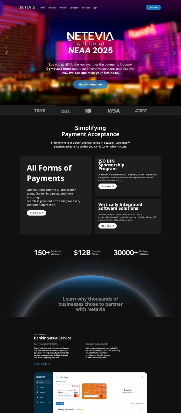 Screenshot 2 of Netevia (Example WordPress Financial Advisor Website)