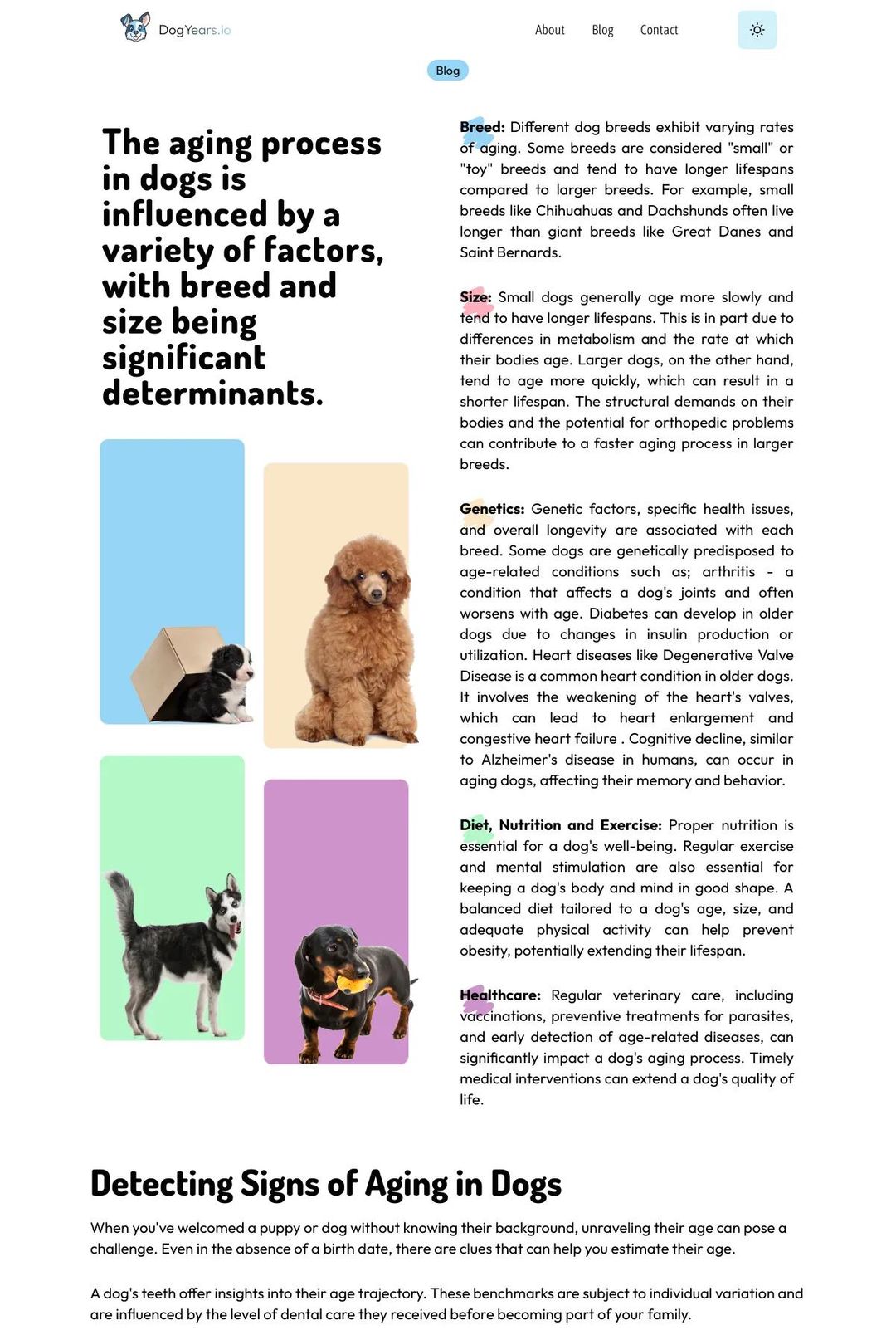 Screenshot 1 of Dog Years (Example Sanity Website)