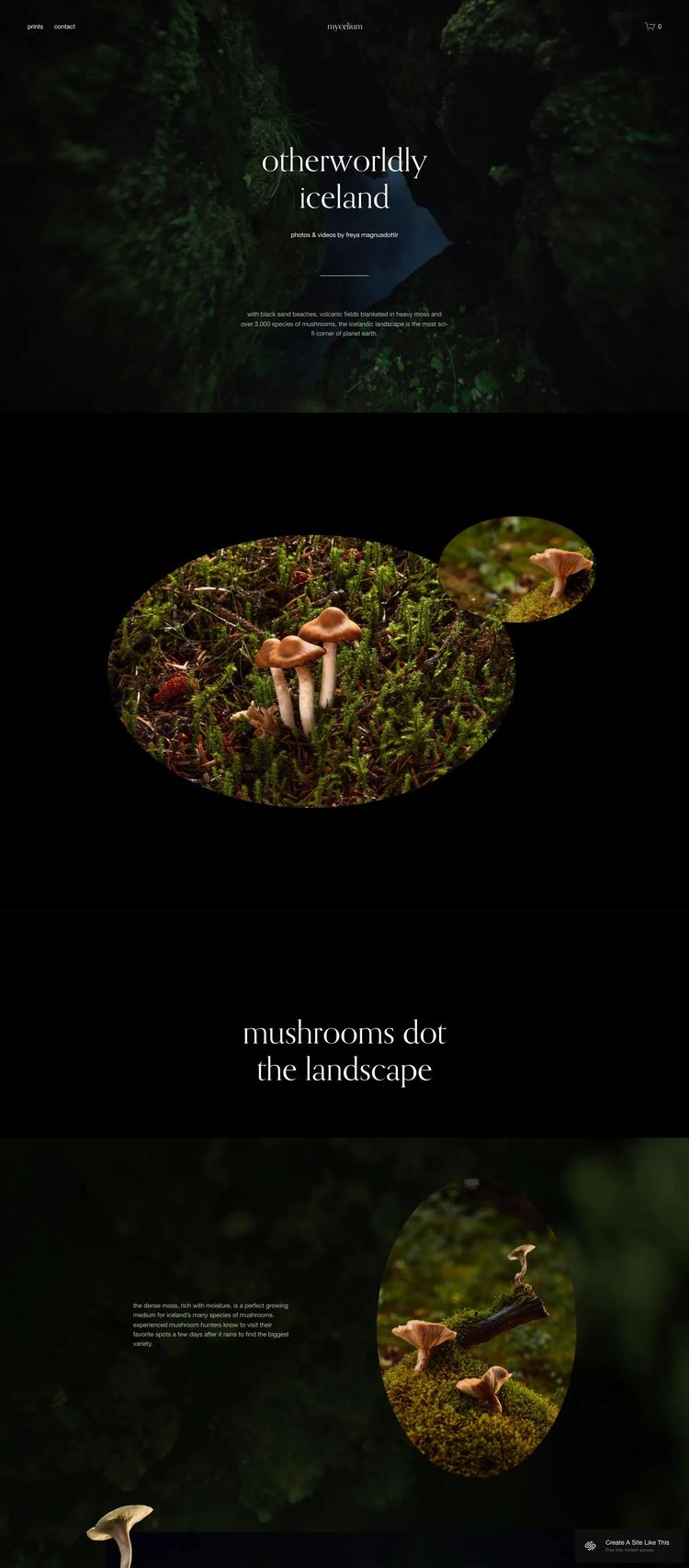 Screenshot 1 of Mycelium Template