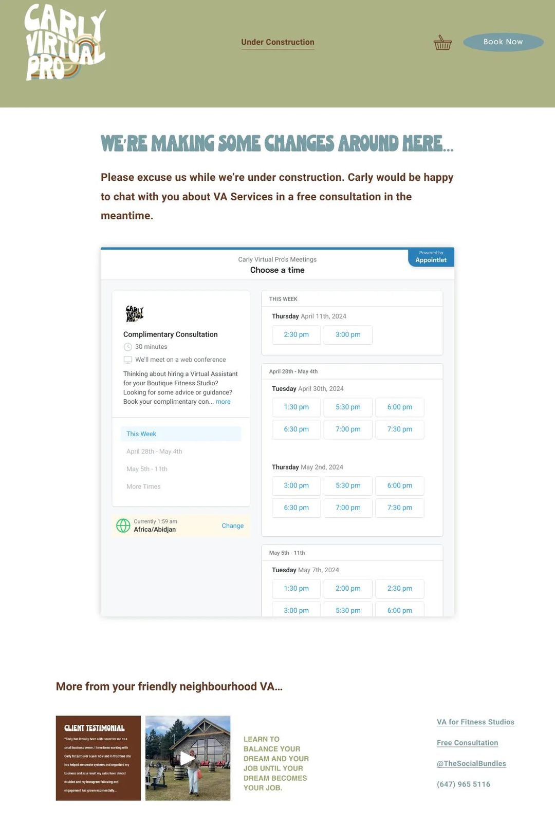 Screenshot 1 of Carly Virtual Pro (Example Squarespace Virtual Assistant Website)