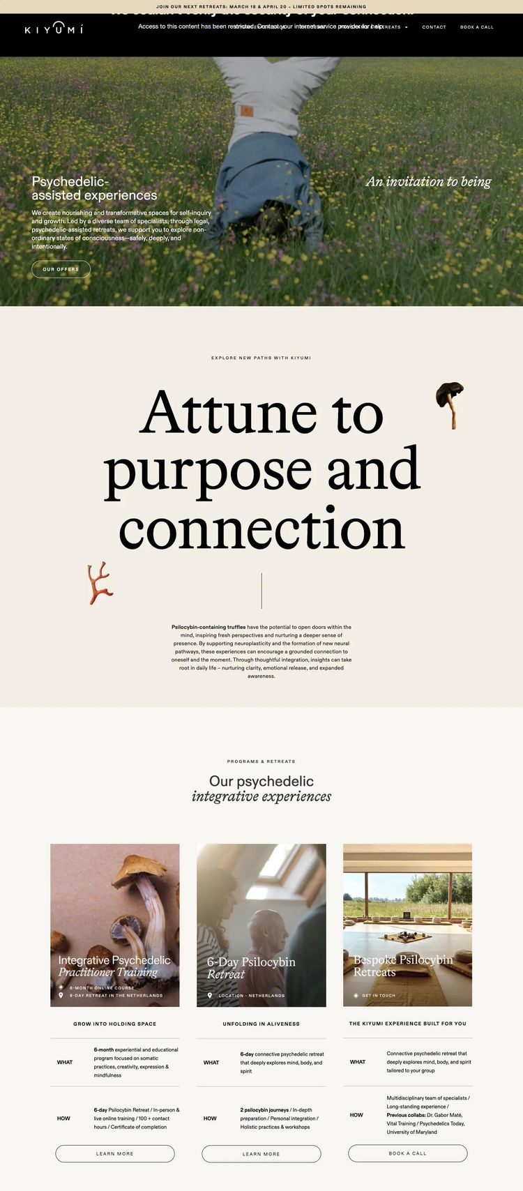 Screenshot 2 of Kiyumi (Example Squarespace Alternative Medicine Website)
