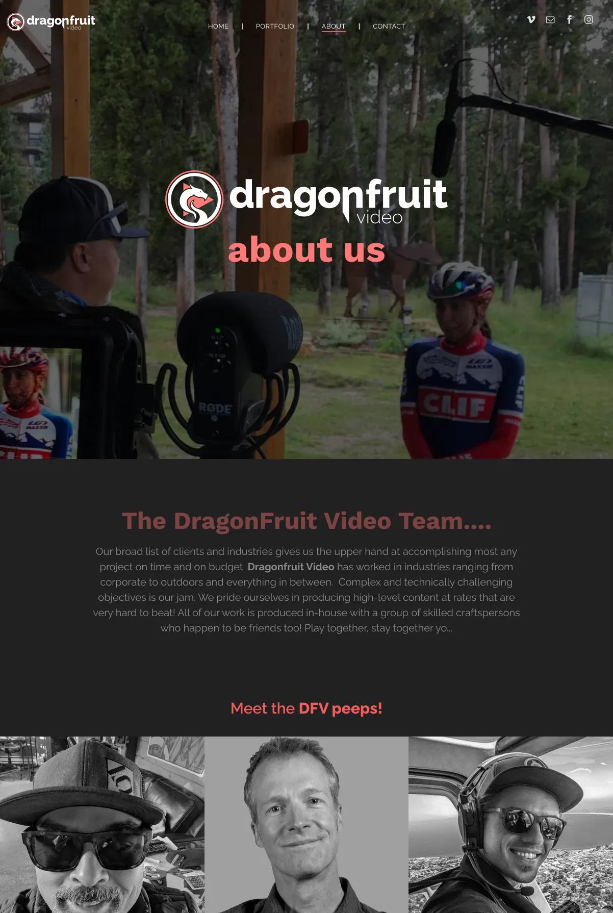 Screenshot 3 of DragonFruit Video (Example Duda Website)